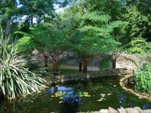 Estanques Ornamentales: Belleza y Diseño en Jardines de Vigo