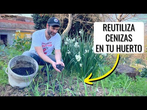 Guía de Productos Ecológicos para Jardinería en Vigo